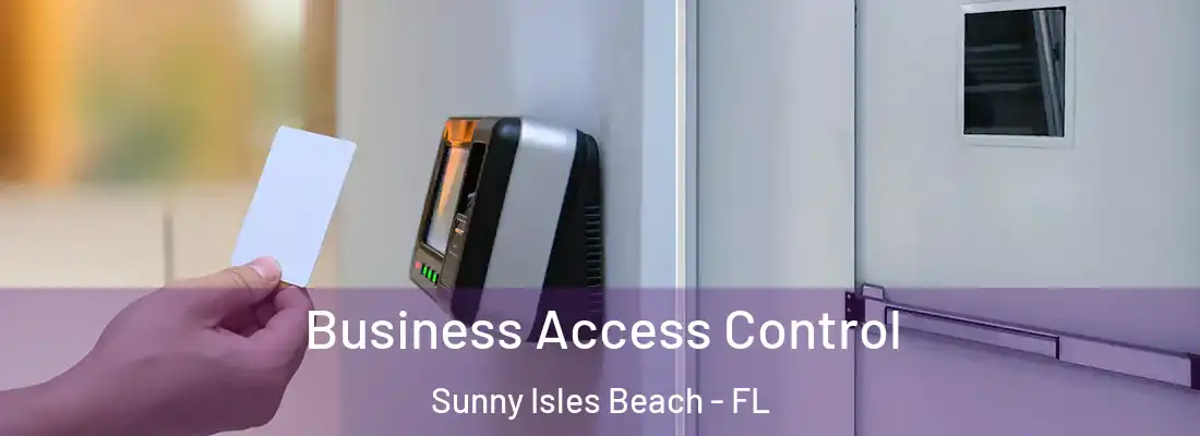  Business Access Control Sunny Isles Beach - FL