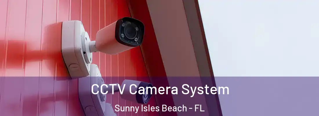  CCTV Camera System Sunny Isles Beach - FL