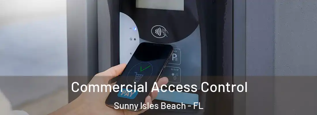  Commercial Access Control Sunny Isles Beach - FL