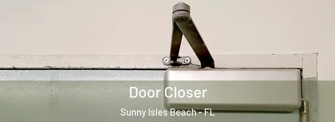 Door Closer Sunny Isles Beach - FL