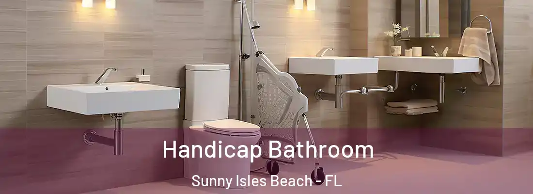  Handicap Bathroom Sunny Isles Beach - FL