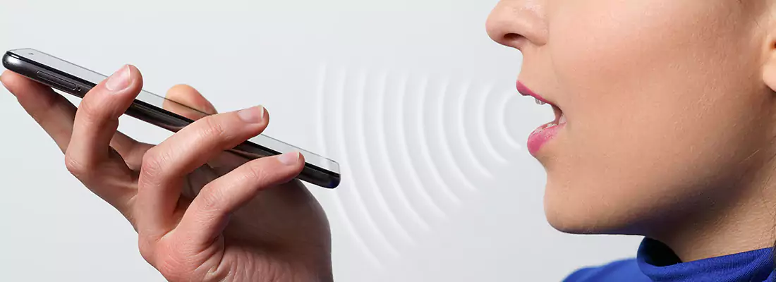 Residential and Commercial Voice Recognition Access Solutions in Sunny Isles Beach, FL